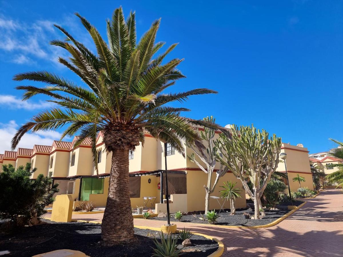 Ocean Forty C Apt. Green Oasis Costa Calma Fue Exterior photo