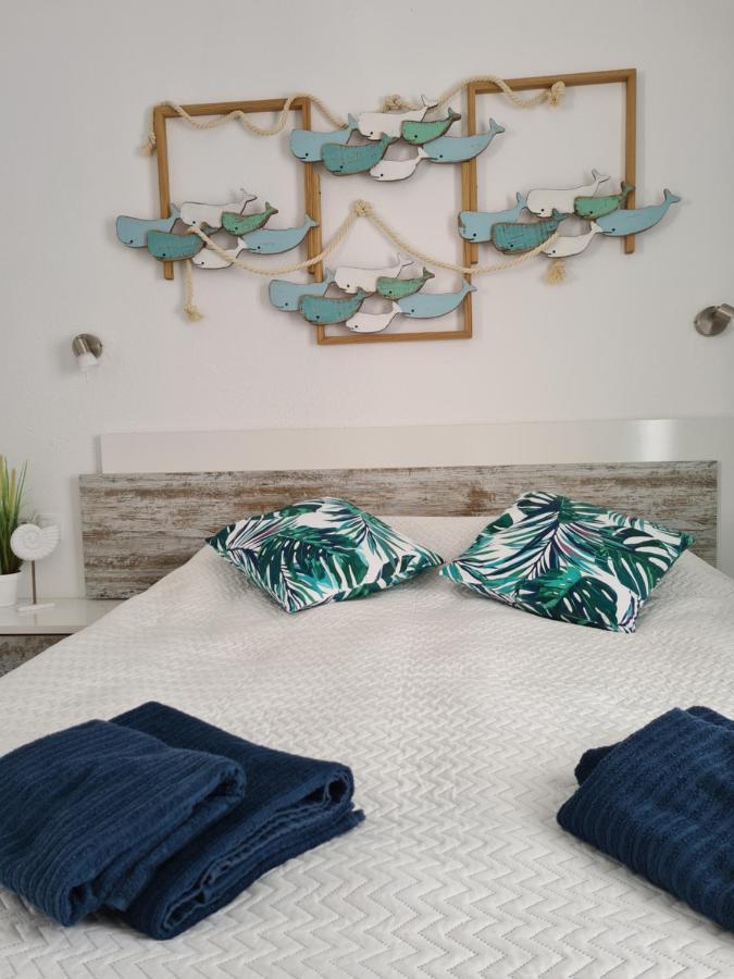 Ocean Forty C Apt. Green Oasis Costa Calma Fue Exterior photo